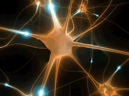 Neurônios