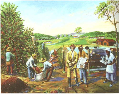 Ciclo do Café
