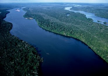 A Importância da Bacia Amazônica