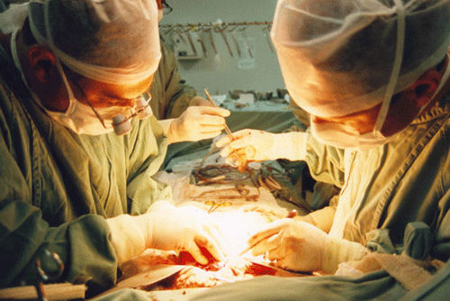 Transplante de Órgãos