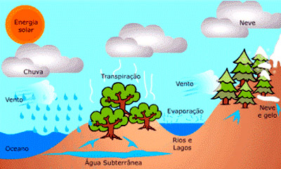 Ciclo Hidrológico